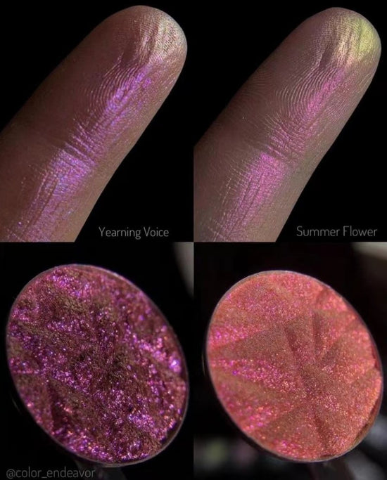Shellwe Makeup The MultichromeChameleon Eyeshadow Fairy Land
