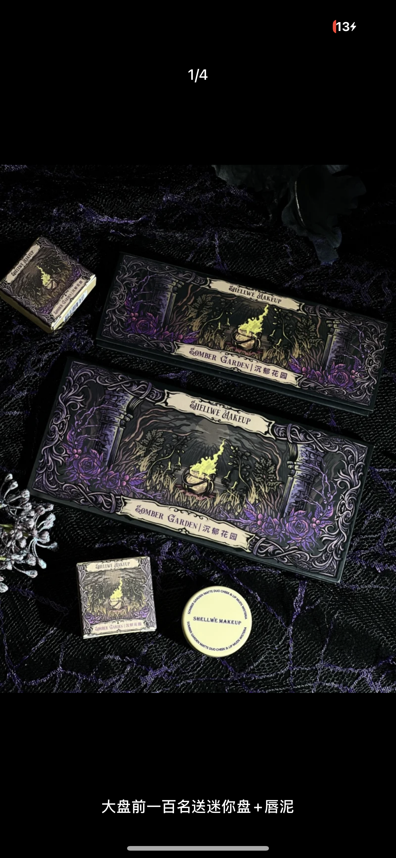 Shellwe Makeup x Freya86 Somber Garden Collection